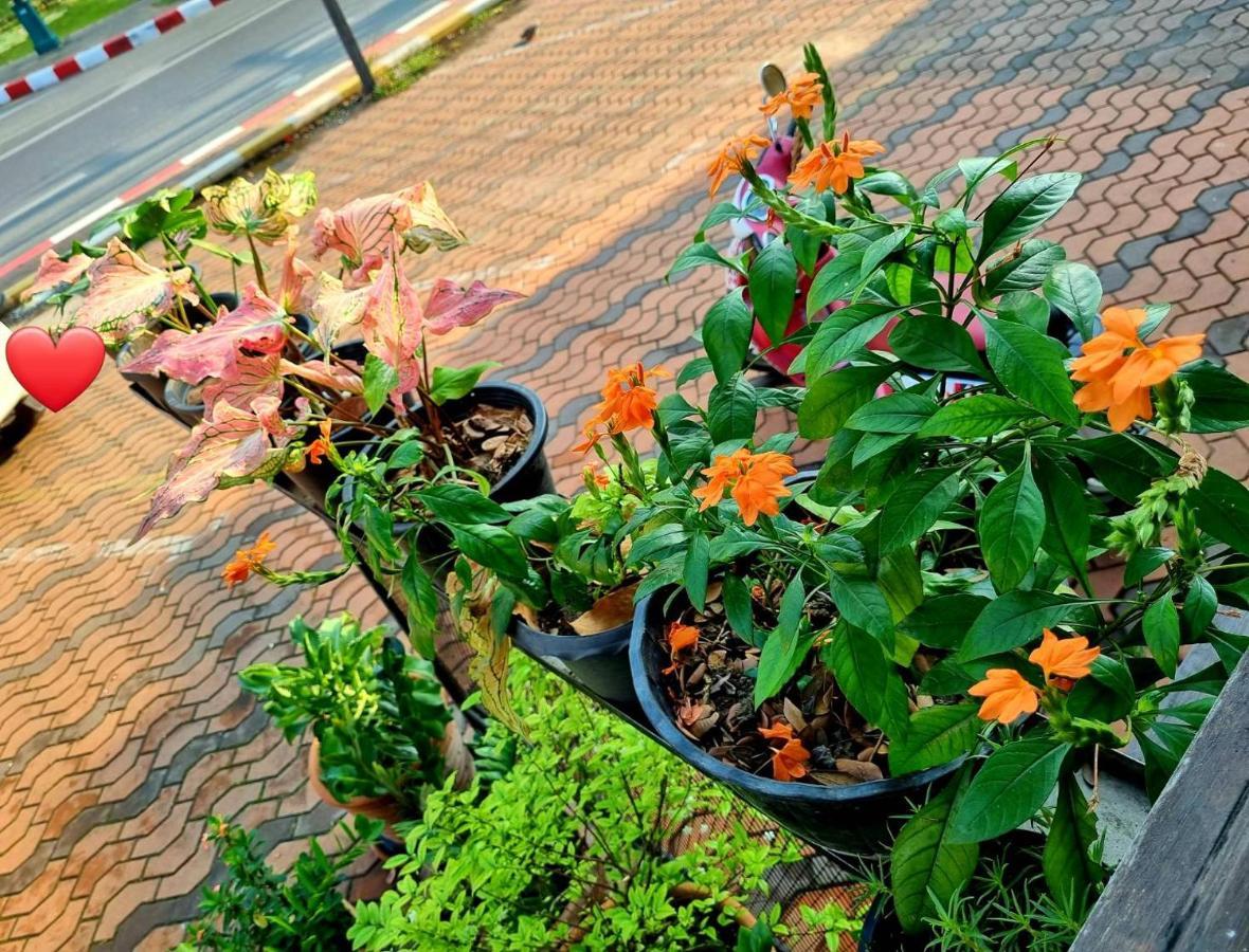 T2B Hostel Chiang Mai Dış mekan fotoğraf